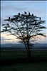 Lake Nakuru National Park Sunset